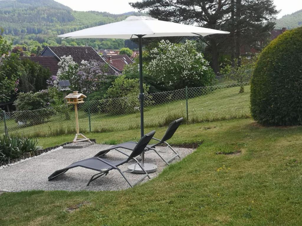 Villa Casa Carlotta - Keine Monteure Langelsheim Exterior foto